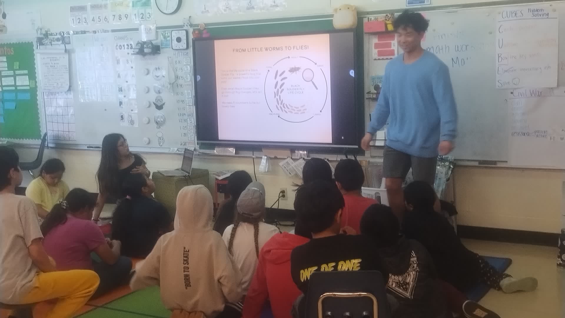 Student presenting the Black Soldier Fly lifecycle to elementary classroom
